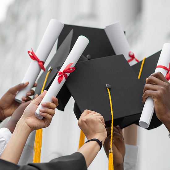 comprar diploma quente